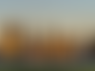 January 2026 WA Invitation Round: Trade Occupations Continue to Receive Invitations at Competitive Points (Invited with 65 points)