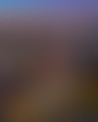 Western Australia December 2025 Invitation Round Update