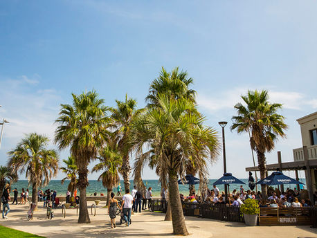 Home Affairs to Run Quarterly Subclass 189 Invitation Rounds in 2025-26