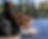 523DC33B-866E-4712-8406-810EBDE37F68.PNG