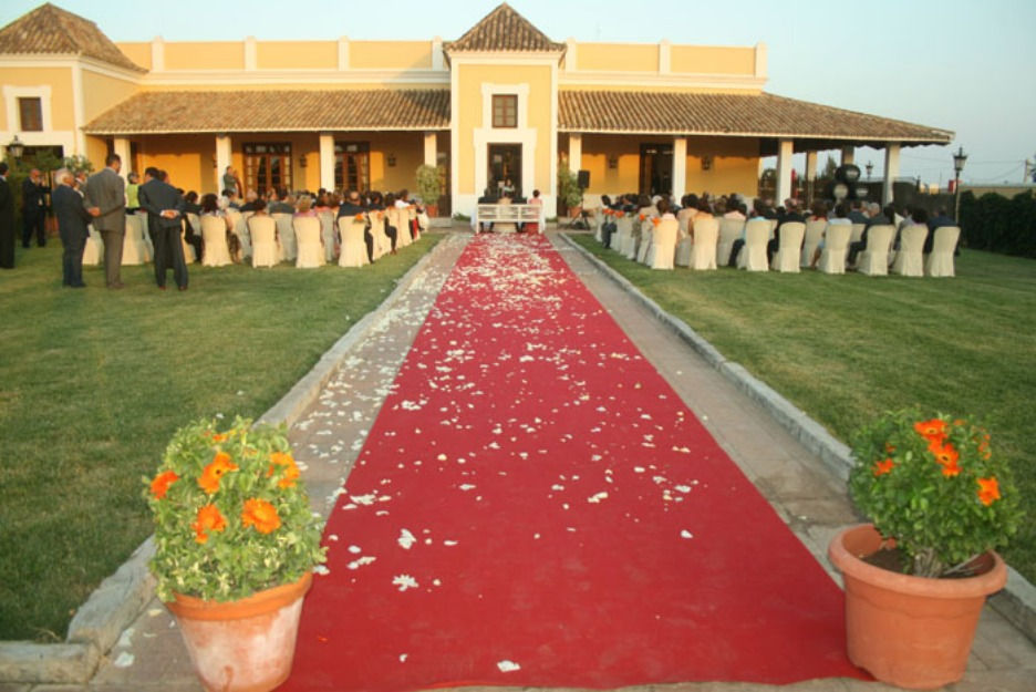 Alfombra para Eventos