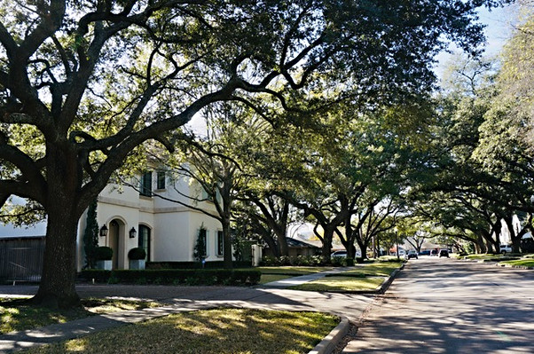 daily thread highland village photos