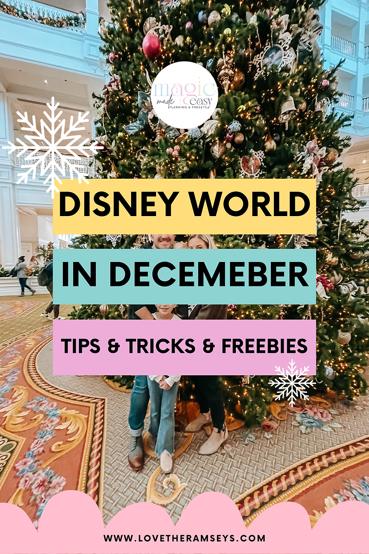 Walt Disney World in December 2024- Tips and tricks
