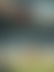 Boycott the World Cup? Sure. Let’s Pretend That’s How Power Works.