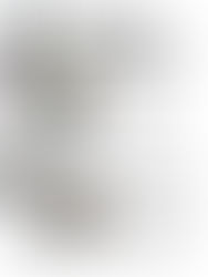 SUSTAINABILITY IN THE SPIRIT OF COLLABORATION