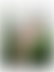 ONE PIECE WEAR in RoidX Magazine