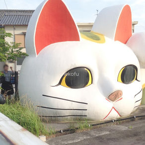 青山ファーマーズマーケット