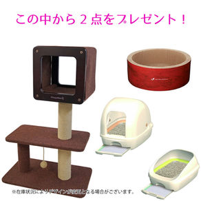 春の猫ライフ応援キャンペーン