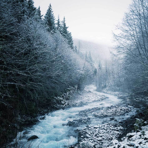 7 Remedies for Seasonal Affective Disorder