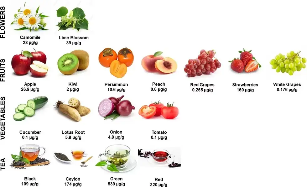 fisetin content in plant based foods