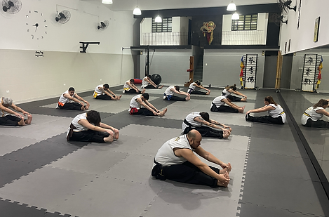 Captura de Tela 2026-01-29 às 14.34.36.png