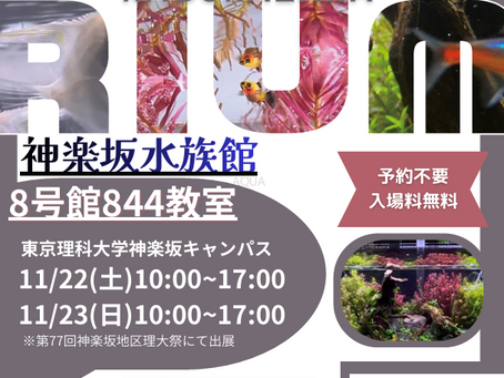 第77回理大祭に参加しました！