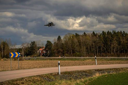 swedish griphen2_edited.jpg