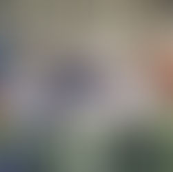 Giochi Matematici del Mediterraneo