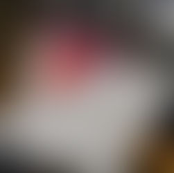 La scuola Colombo ai Giochi Matematici del Mediterraneo