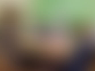 Викторина "Дикие животные наших лесов"