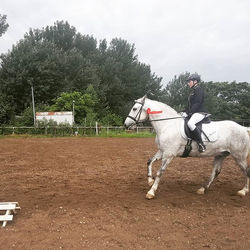 Herzlichen Glückwunsch, Jonna und Kalle 💐 Die 2. offizielle Prüfung der beiden und schon platziert.