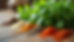 Close-up view of fresh organic herbs and spices arranged on a wooden surface