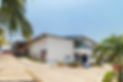 Amsar GMP certified Factory with Organic Certification
