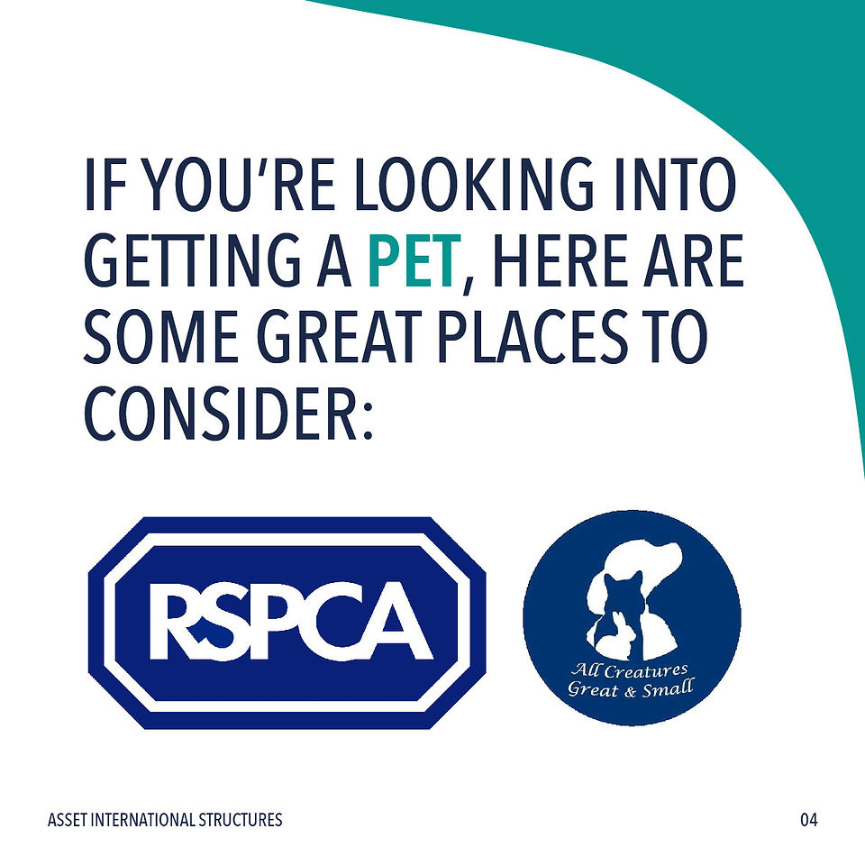 Love your pet slideshow (Page 4)