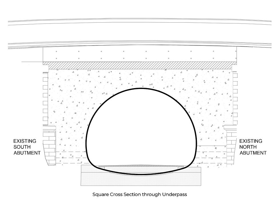 Bridge cross section drawing