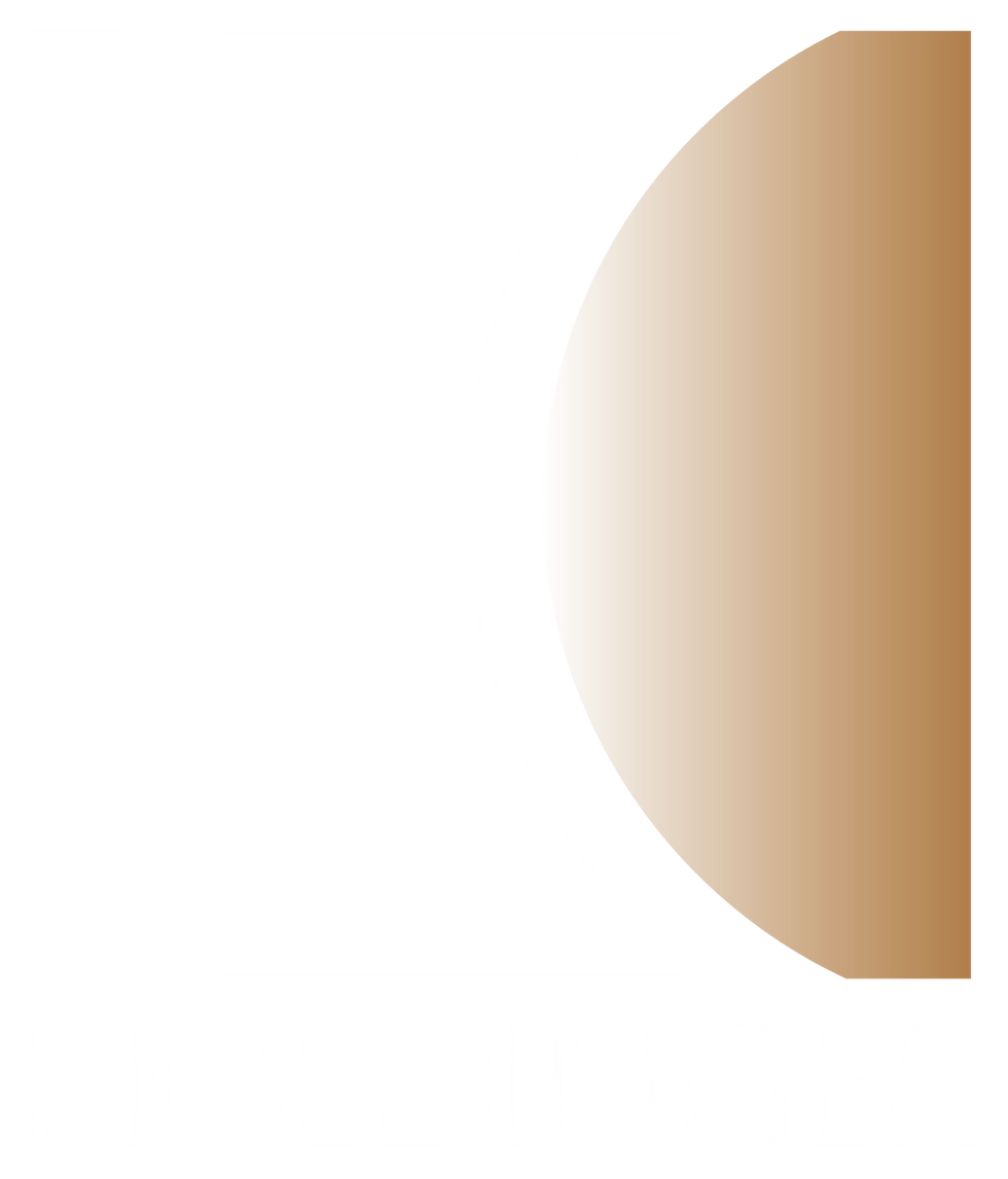 Logo_HOLDINGER_2026_blanc.png