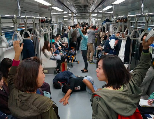 홈피고도로드.jpeg