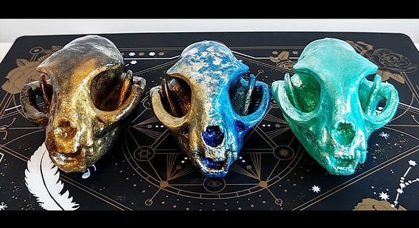 IMG_20251212_120515 kopio.jpg