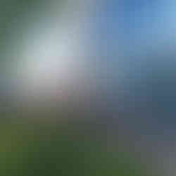 HLSDB Thanksgiving Donation Day