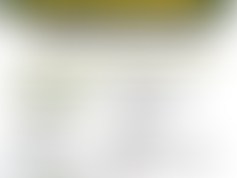 The VIP SWAM Green Beret With A Mission Challenge Experience