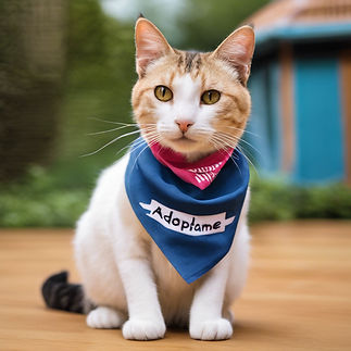 PHOTO OF A CAT WITH A BANDANA THAT READS 'ADOPTAME'.jpg