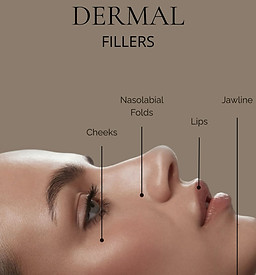 Dermal Fillers.jpg