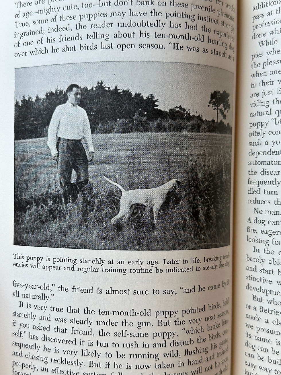 Thumbnail: Vintage 1942 Hunting Dogs Book