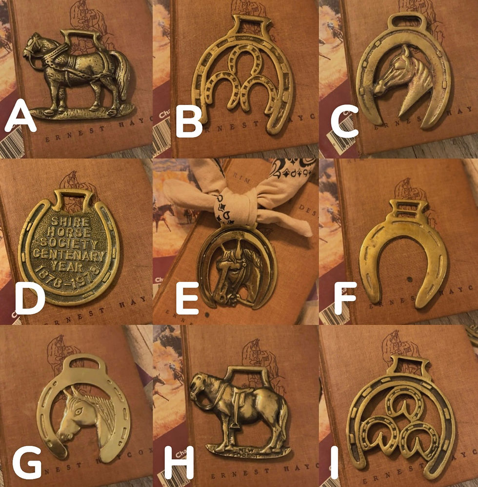 Thumbnail: Vintage Brass Horse Medallions
