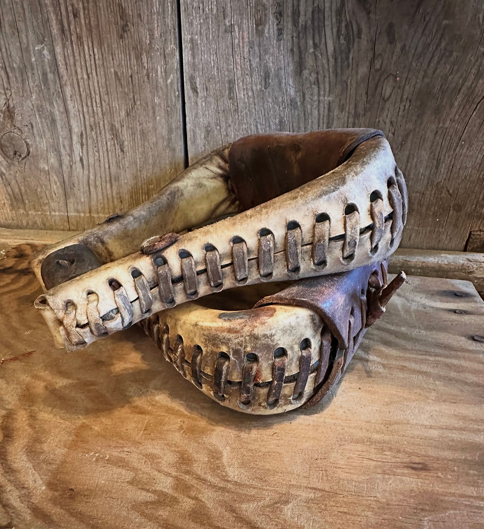 Thumbnail: Leather Wrapped Stirrups