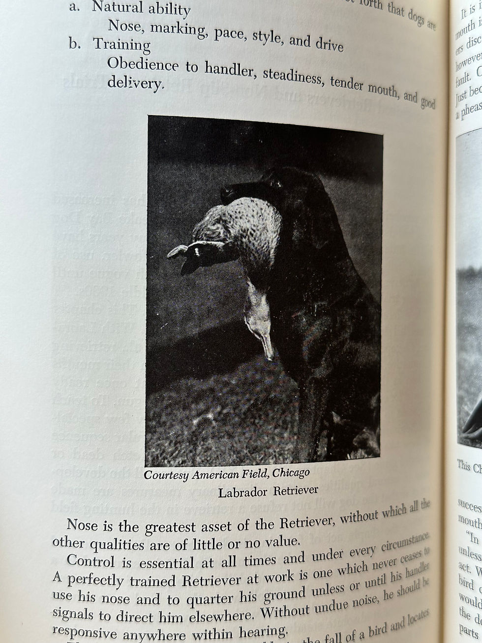 Thumbnail: Vintage 1942 Hunting Dogs Book