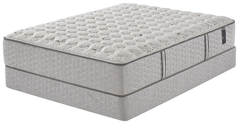 Five Star Tlc Premium Ferrington Firm Top Mattress Mattresssavvy
