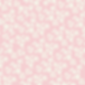 IMG_3697.PNG