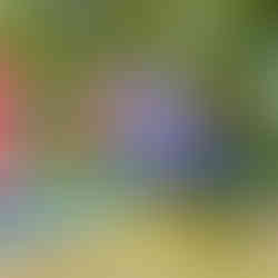  אטרקציות ליום הולדת