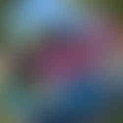  אטרקציות ליום הולדת