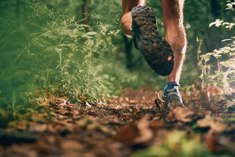 Kingdom FIT 10K Trail Run
