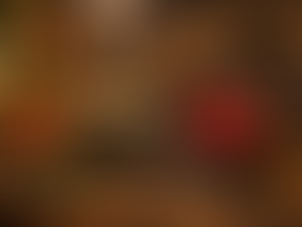 Wir wünschen frohe Festtage und einen Guten Rutsch ins neue Jahr