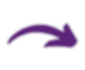 Untitled design (14)_edited.png