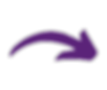 Untitled design (14)_edited.png