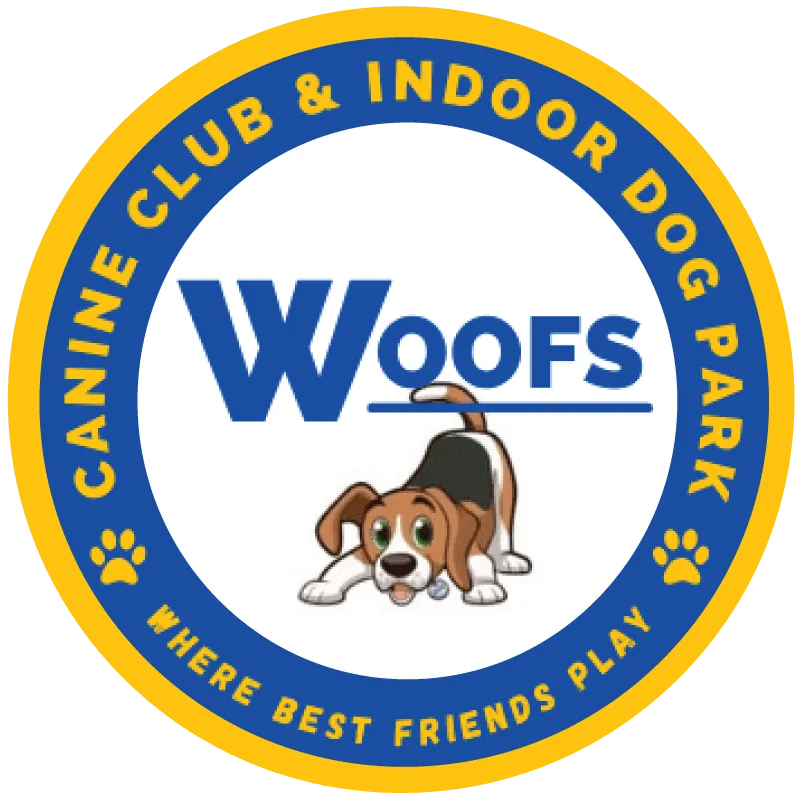 logo-main.webp