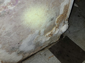 Mold