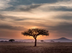 Itinerary - KENYA - CITY / NATURE / BEACH - 11 NIGHTS / 12 DAYS SAFARI
