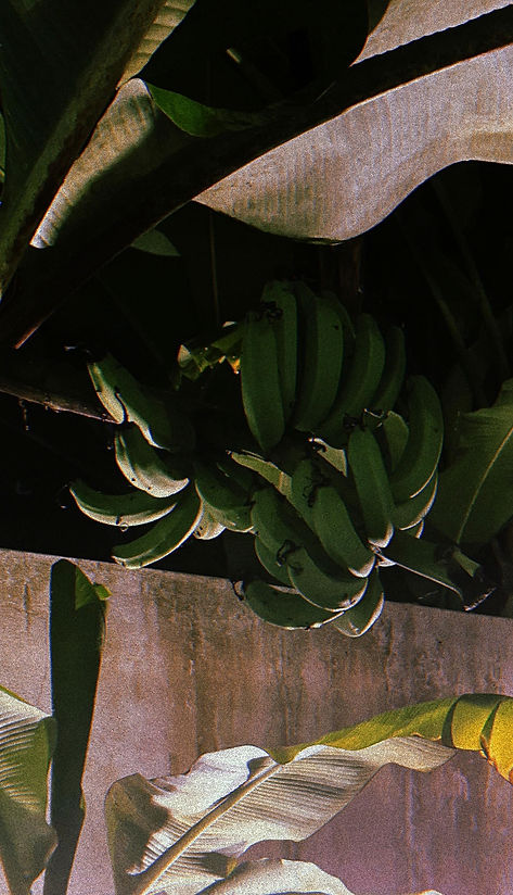 434863762_18429464371017260_795398202584