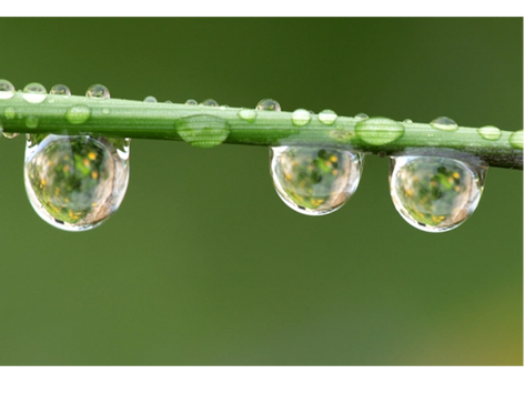 Palabras de un AE... Lidia Ramirez*