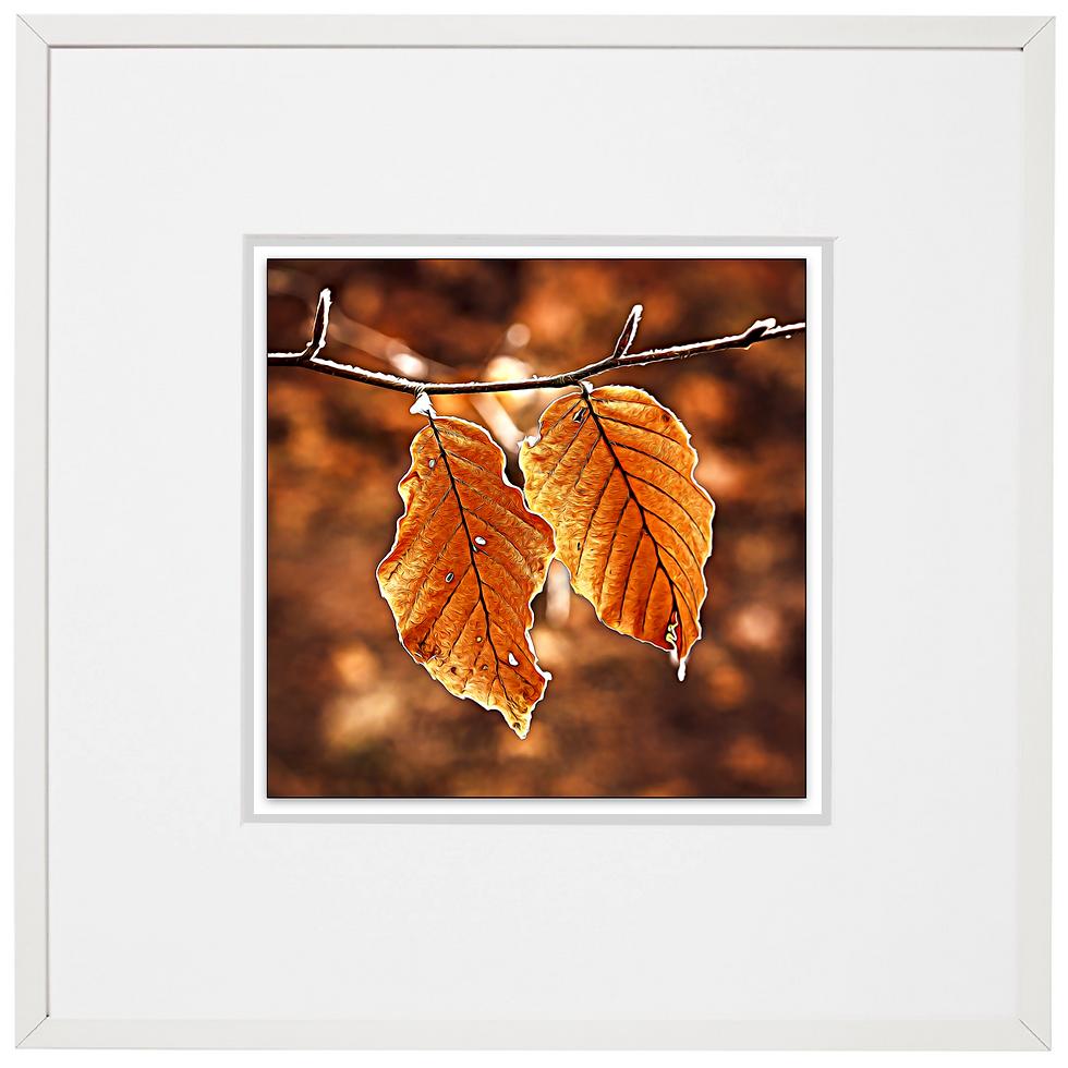 Thumbnail: Clinging On ...